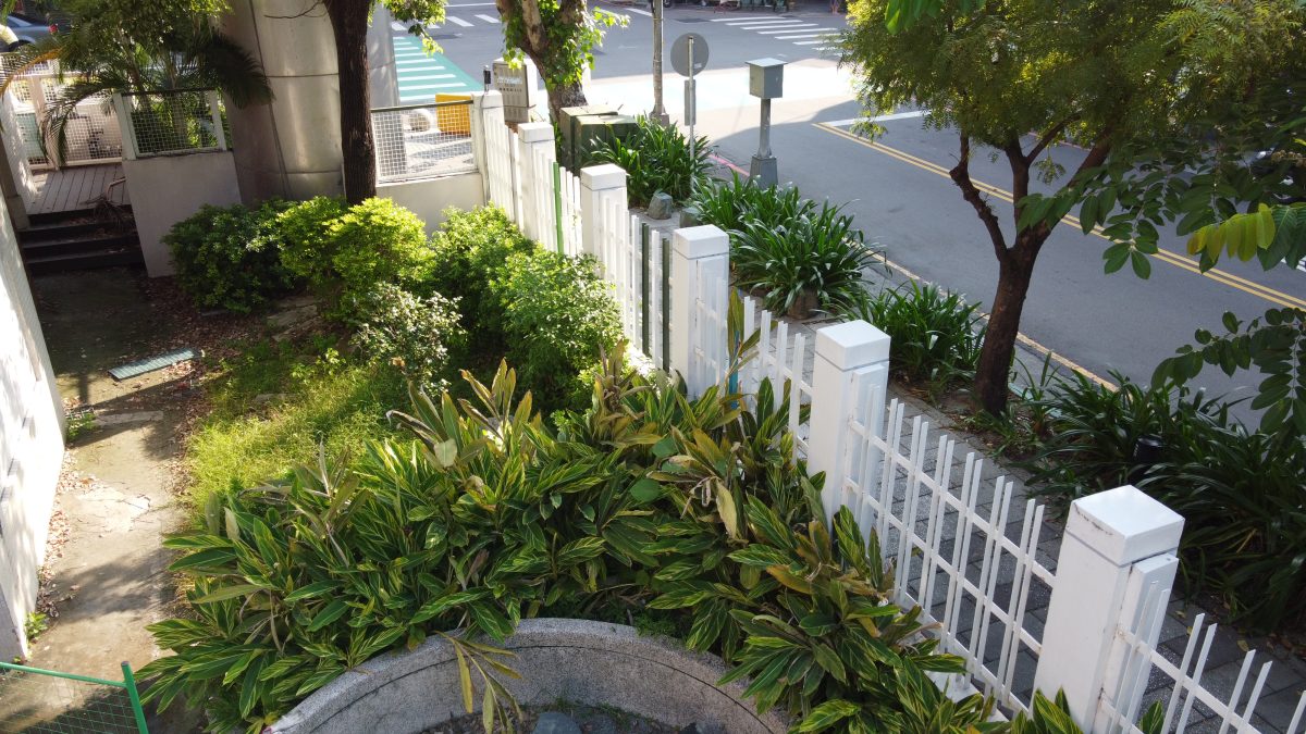 中庭
